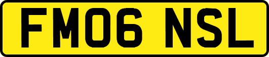 FM06NSL