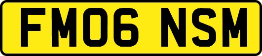 FM06NSM