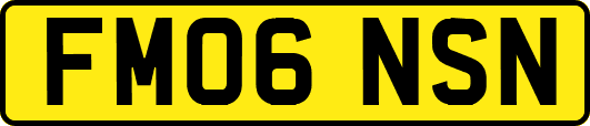 FM06NSN