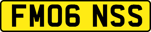 FM06NSS