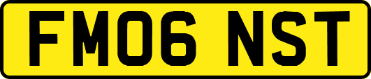FM06NST