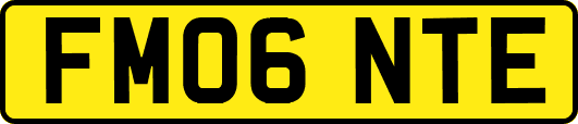 FM06NTE