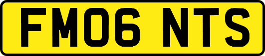 FM06NTS