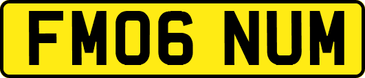 FM06NUM