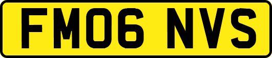 FM06NVS