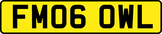 FM06OWL