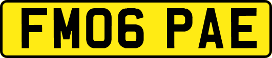 FM06PAE