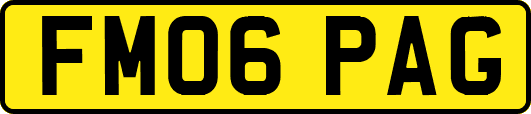 FM06PAG