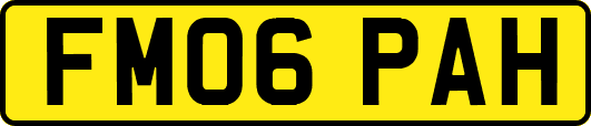 FM06PAH