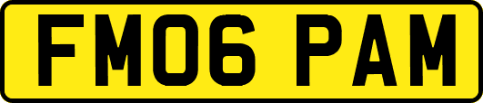 FM06PAM
