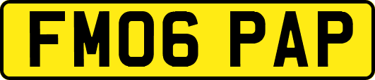 FM06PAP
