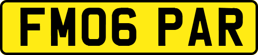 FM06PAR
