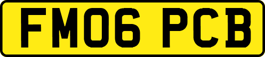 FM06PCB