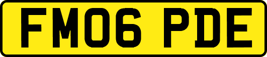 FM06PDE