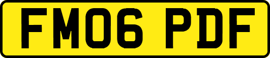 FM06PDF
