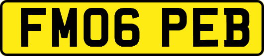 FM06PEB