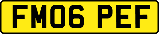 FM06PEF