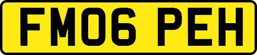 FM06PEH