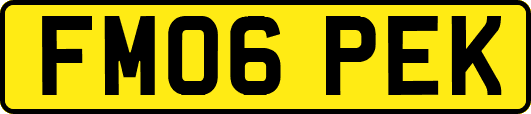 FM06PEK
