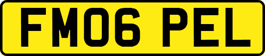 FM06PEL