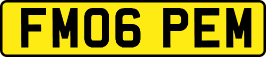 FM06PEM