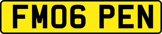 FM06PEN