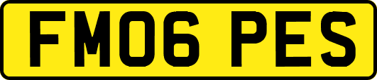 FM06PES
