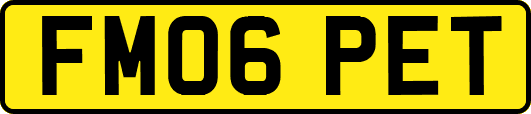 FM06PET