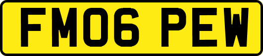 FM06PEW