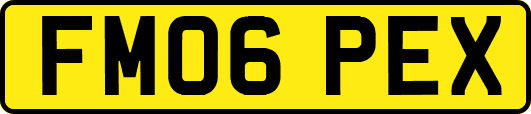 FM06PEX