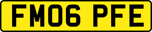 FM06PFE