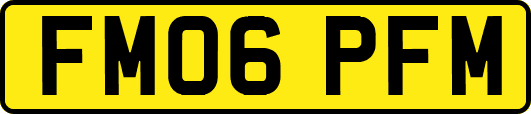 FM06PFM