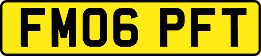 FM06PFT