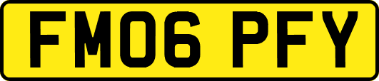 FM06PFY