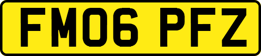 FM06PFZ