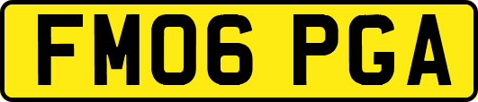 FM06PGA