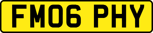 FM06PHY