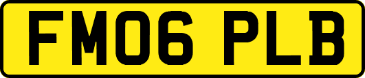 FM06PLB