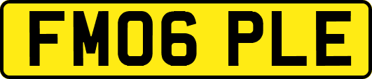 FM06PLE