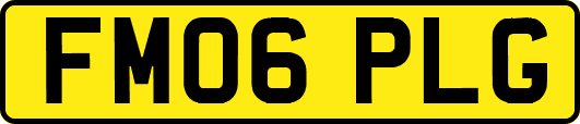 FM06PLG
