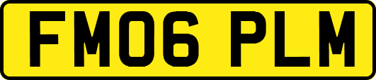 FM06PLM