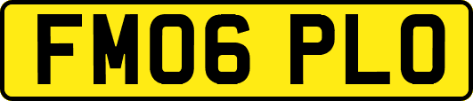 FM06PLO