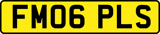 FM06PLS