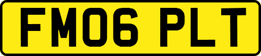 FM06PLT