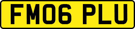 FM06PLU