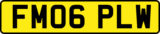 FM06PLW