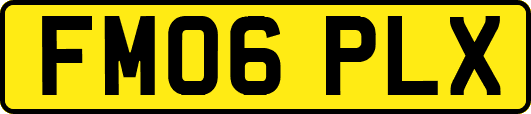 FM06PLX