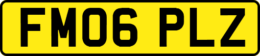 FM06PLZ
