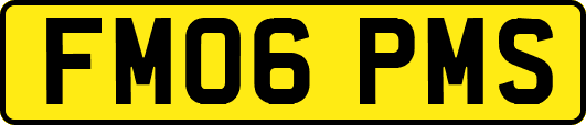 FM06PMS