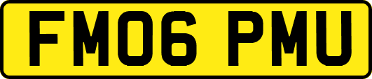 FM06PMU
